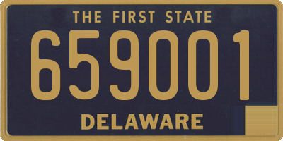 DE license plate 659001