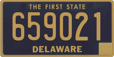 DE license plate 659021