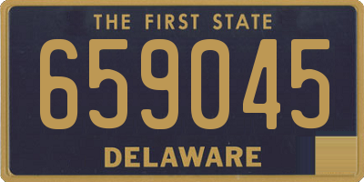 DE license plate 659045