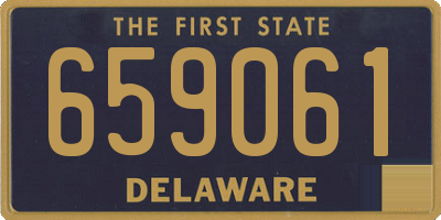 DE license plate 659061