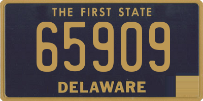 DE license plate 65909