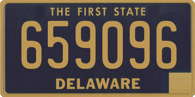 DE license plate 659096