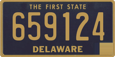 DE license plate 659124