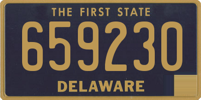 DE license plate 659230