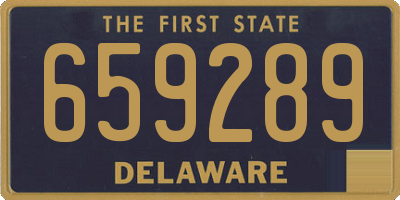 DE license plate 659289