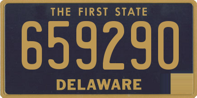 DE license plate 659290