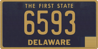 DE license plate 6593