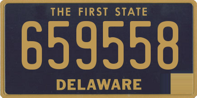 DE license plate 659558