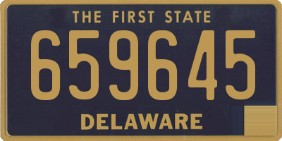 DE license plate 659645