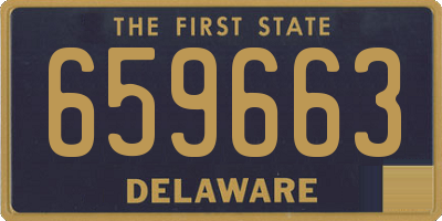 DE license plate 659663
