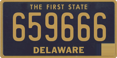 DE license plate 659666