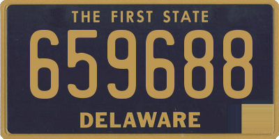 DE license plate 659688