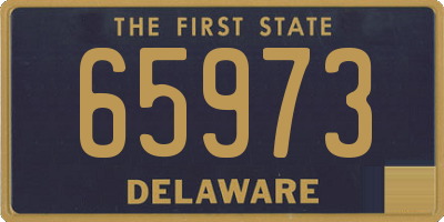 DE license plate 65973