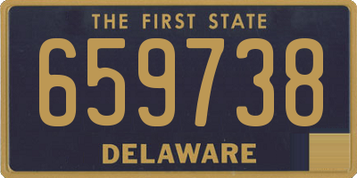 DE license plate 659738