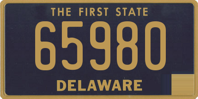 DE license plate 65980