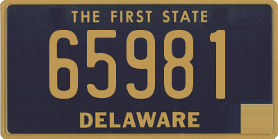 DE license plate 65981