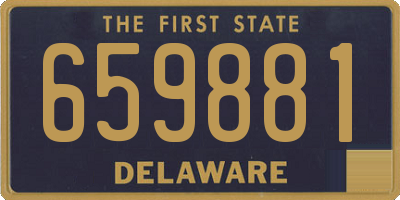 DE license plate 659881