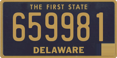 DE license plate 659981