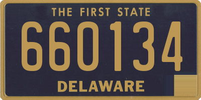 DE license plate 660134
