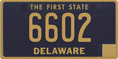 DE license plate 6602