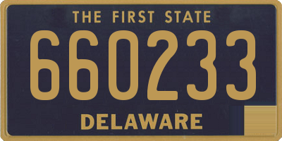 DE license plate 660233