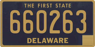 DE license plate 660263