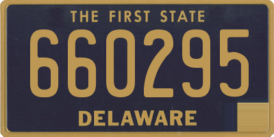 DE license plate 660295