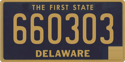 DE license plate 660303