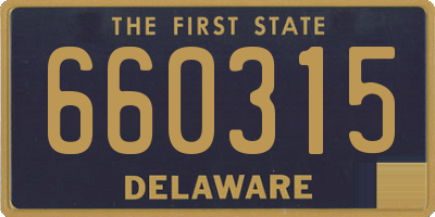 DE license plate 660315