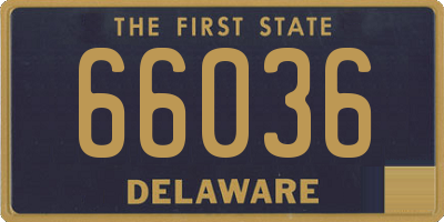 DE license plate 66036