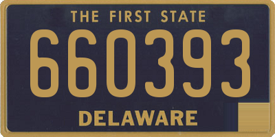 DE license plate 660393