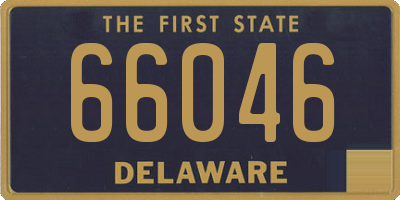 DE license plate 66046