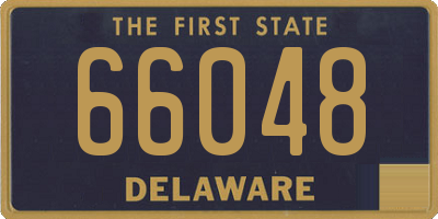 DE license plate 66048