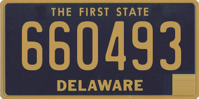 DE license plate 660493