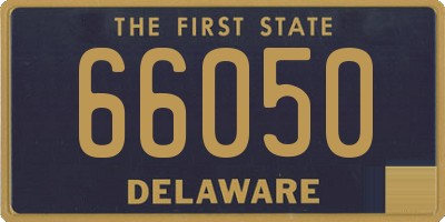 DE license plate 66050