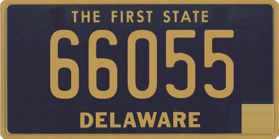 DE license plate 66055