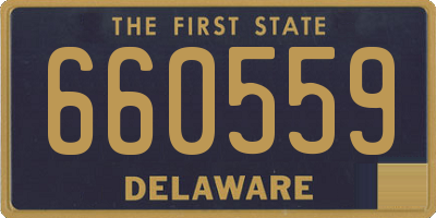 DE license plate 660559