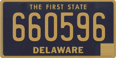 DE license plate 660596