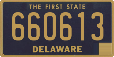 DE license plate 660613