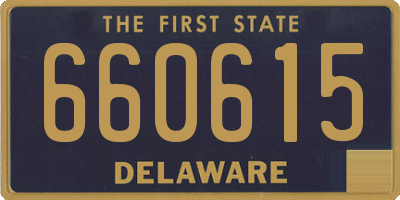 DE license plate 660615