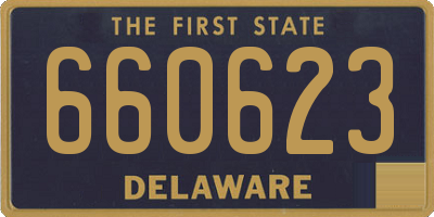 DE license plate 660623
