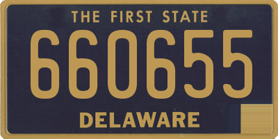 DE license plate 660655