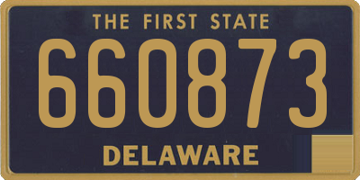 DE license plate 660873