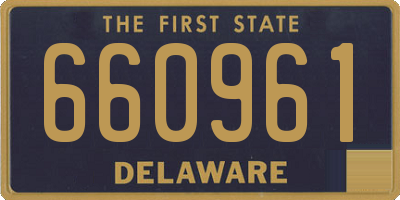 DE license plate 660961
