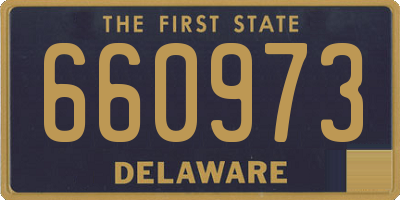 DE license plate 660973