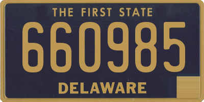 DE license plate 660985