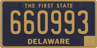 DE license plate 660993