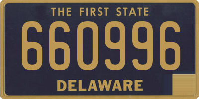 DE license plate 660996