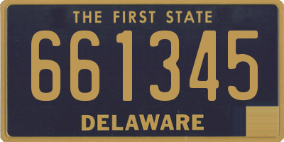 DE license plate 661345