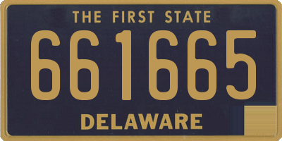DE license plate 661665